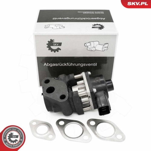 ESEN SKV AGR-Ventil 14SKV260