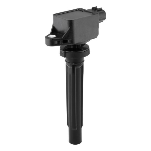 BorgWarner (BERU) Z&uuml;ndspule ZSE297