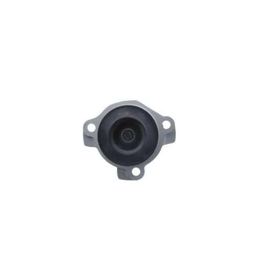 VALEO Wasserpumpe, Motork&uuml;hlung 529200