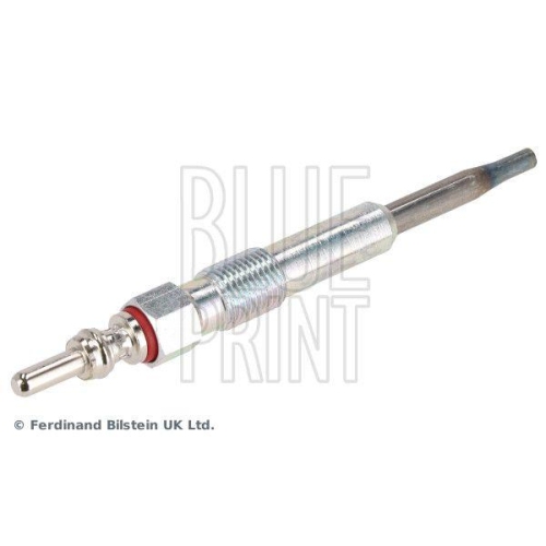 BLUE PRINT Glühkerze ADV181801