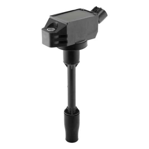 BorgWarner (BERU) Z&uuml;ndspule ZSE318