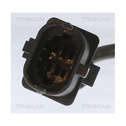 TRISCAN Sensor, Abgastemperatur 8826 24004