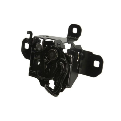 BLIC Motorhaubenschloss 3011-01-022210P