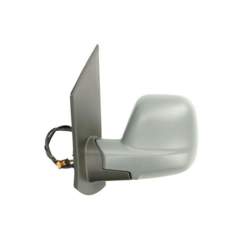BLIC Außenspiegel 5402-04-2103393P