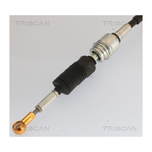 TRISCAN Seilzug, Automatikgetriebe 8140 29722