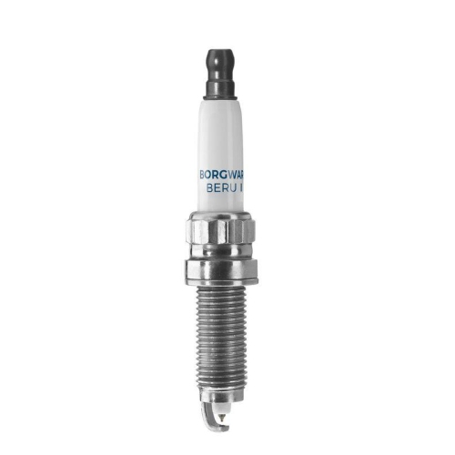 BorgWarner (BERU) Z&uuml;ndkerze Z529