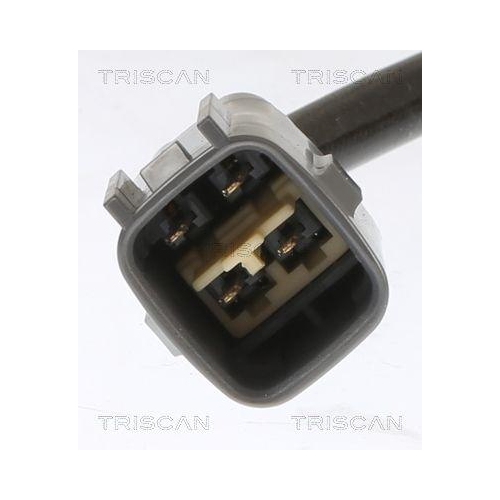 TRISCAN Lambdasonde 8845 13095