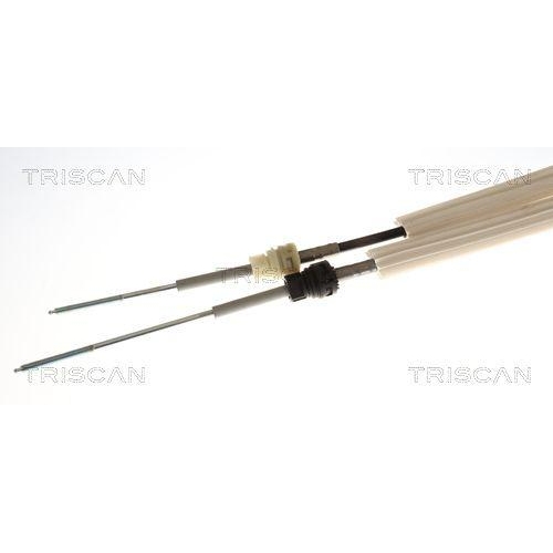 TRISCAN Seilzug, Schaltgetriebe 8140 29793