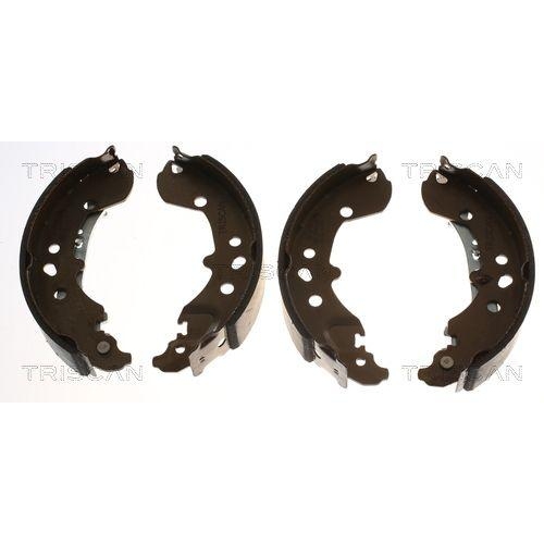 TRISCAN Bremsbackensatz 8100 29006