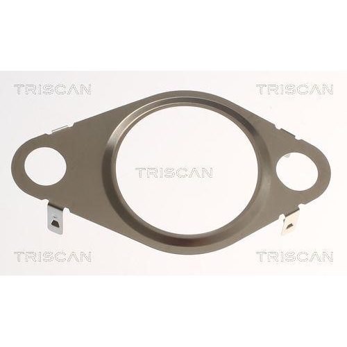 TRISCAN Dichtung 8813 99192