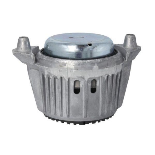 REINHOCH Lagerung, Motor RH11-3119