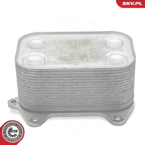 ESEN SKV &Ouml;lk&uuml;hler, Motor&ouml;l 31SKV285