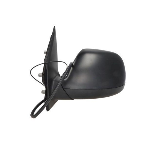 BLIC Außenspiegel 5402-04-1623339P