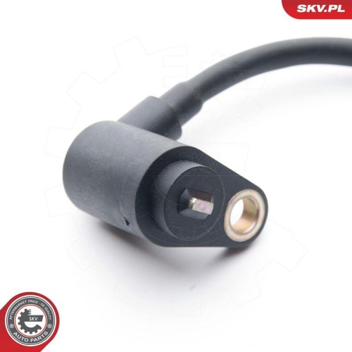 ESEN SKV Sensor, Raddrehzahl 06SKV216