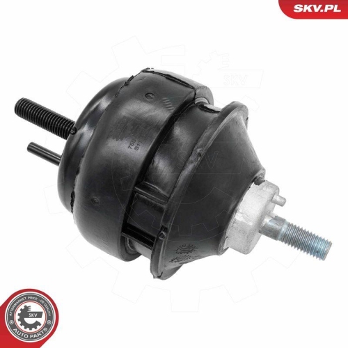 ESEN SKV Lagerung, Motor 75SKV332
