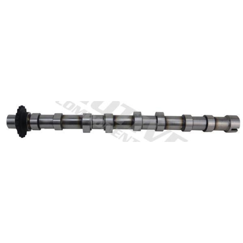 MOTIVE Nockenwelle T4432