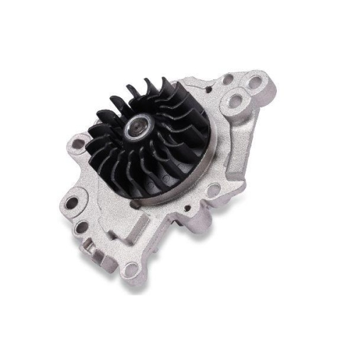 GK Wasserpumpe, Motorkühlung 981901