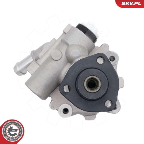 ESEN SKV Hydraulikpumpe, Lenkung 10SKV337