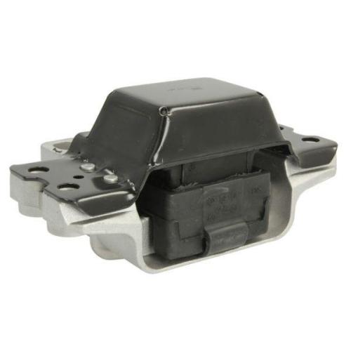 REINHOCH Lagerung, Motor RH11-0034