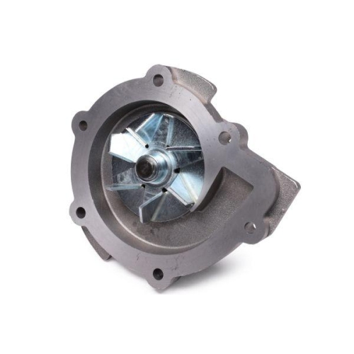 HEPU Wasserpumpe, Motork&uuml;hlung P7421