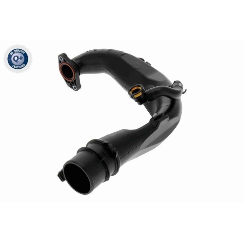 VAICO Ladeluftschlauch Q+, Erstausr&uuml;sterqualit&auml;t V46-1683