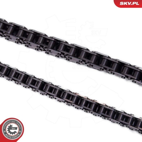 ESEN SKV Steuerkettensatz 21SKV250