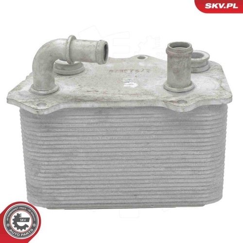 ESEN SKV &Ouml;lk&uuml;hler, Motor&ouml;l 31SKV335