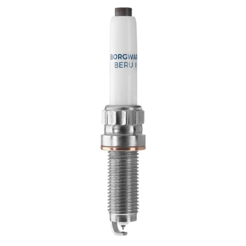 BorgWarner (BERU) Z&uuml;ndkerze Z366