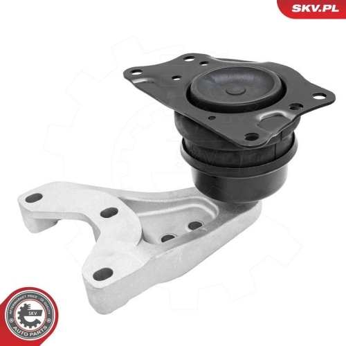 ESEN SKV Lagerung, Motor 75SKV046