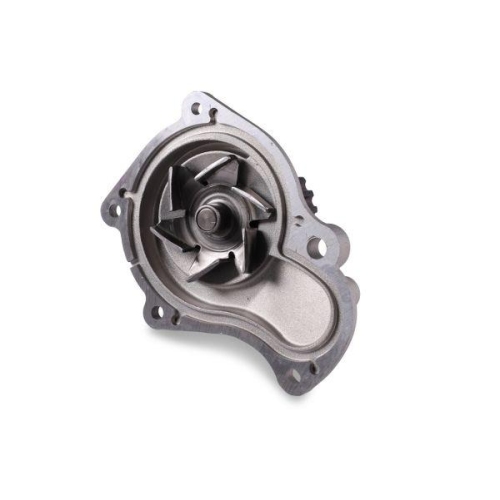 GK Wasserpumpe, Motork&uuml;hlung 989719