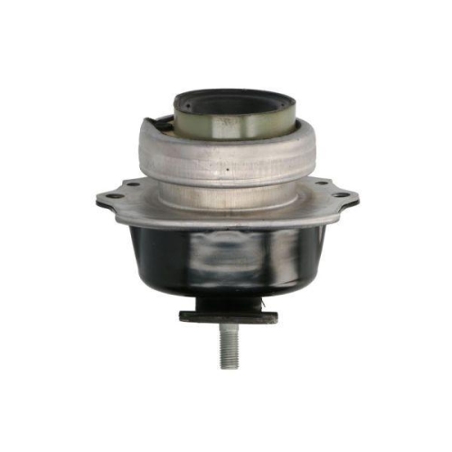REINHOCH Lagerung, Motor RH11-3093