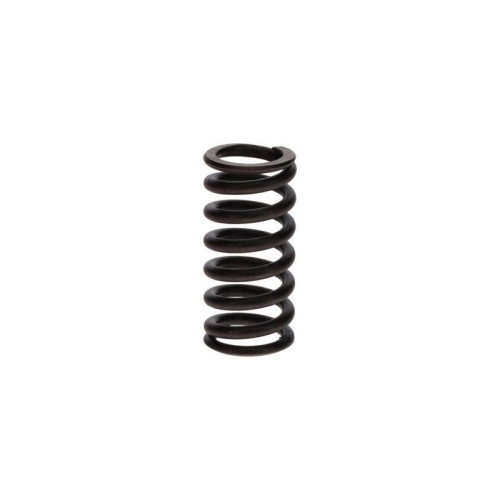 BOSCH Feder 3 414 619 005