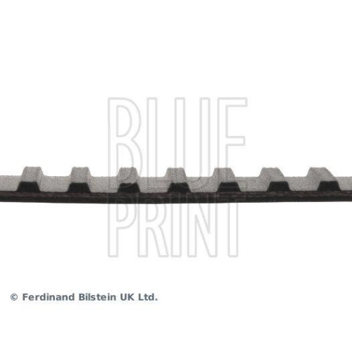 BLUE PRINT Zahnriemen ADN17511