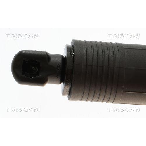 TRISCAN Gasfeder, Koffer-/Laderaum 8710 24302