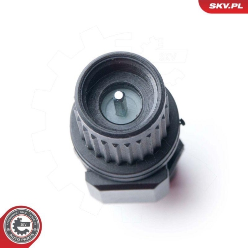 ESEN SKV Sensor, Geschwindigkeit 17SKV339