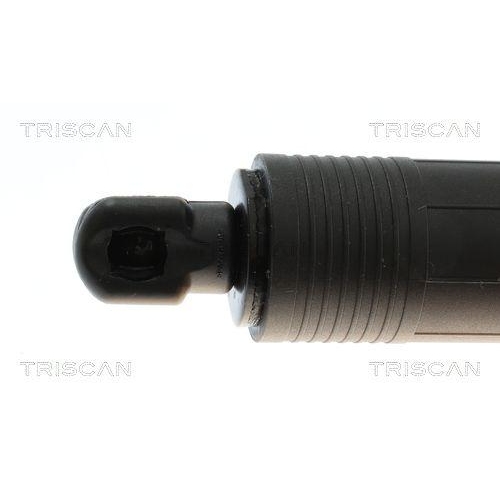 TRISCAN Gasfeder, Koffer-/Laderaum 8710 28302