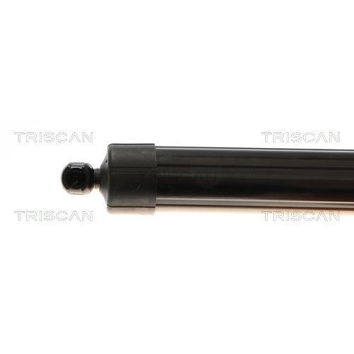 TRISCAN Gasfeder, Koffer-/Laderaum 8710 27314