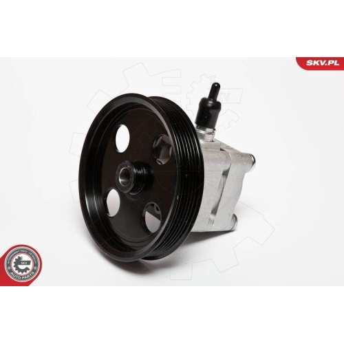 ESEN SKV Hydraulikpumpe, Lenkung