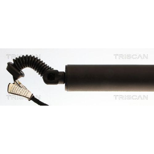 TRISCAN Gasfeder, Koffer-/Laderaum 8710 29324