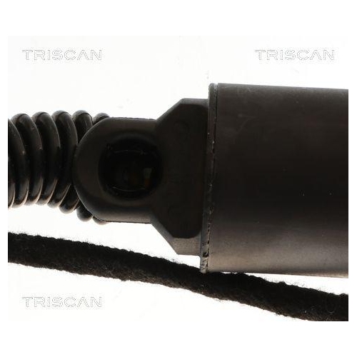 TRISCAN Gasfeder, Koffer-/Laderaum 8710 29323