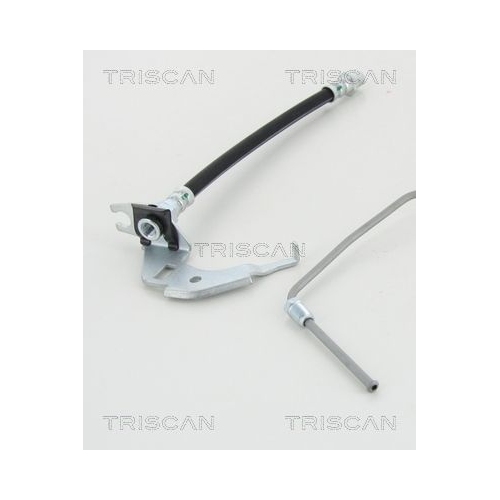 TRISCAN Bremsschlauch 8150 24218