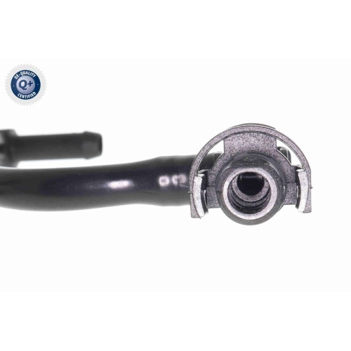 VAICO K&uuml;hlerschlauch Q+, Erstausr&uuml;sterqualit&auml;t V40-0536