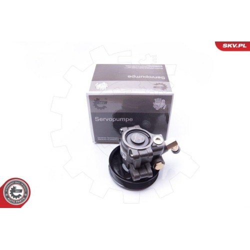 ESEN SKV Hydraulikpumpe, Lenkung