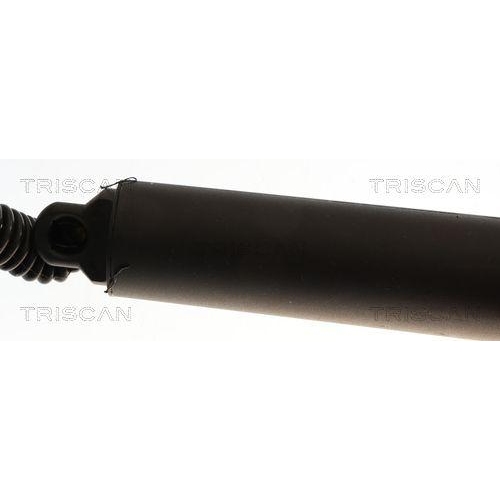 TRISCAN Gasfeder, Koffer-/Laderaum 8710 29325