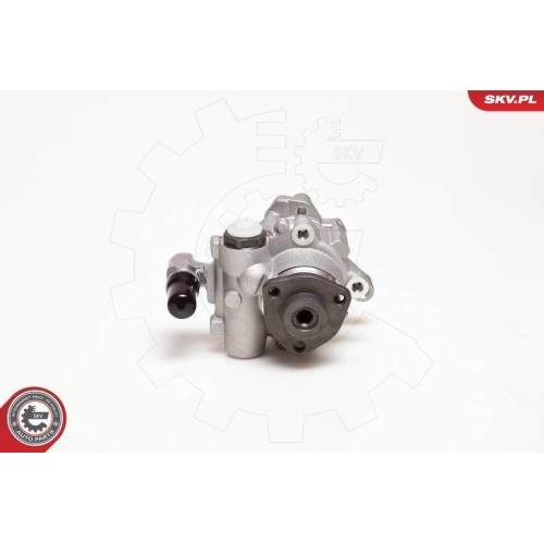 ESEN SKV Hydraulikpumpe, Lenkung