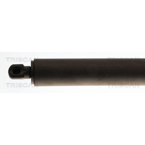 TRISCAN Gasfeder, Koffer-/Laderaum 8710 29322