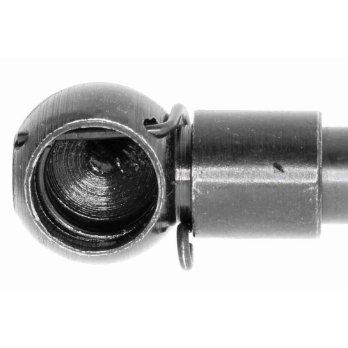 VAICO Gasfeder, Motorhaube Original VAICO Qualit&auml;t V10-1936