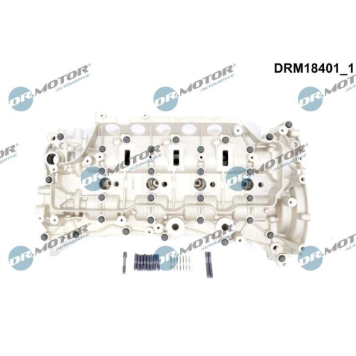Dr.Motor Automotive Zylinderkopf DRM18401