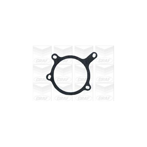 GRAF Wasserpumpe, Motork&uuml;hlung PA501