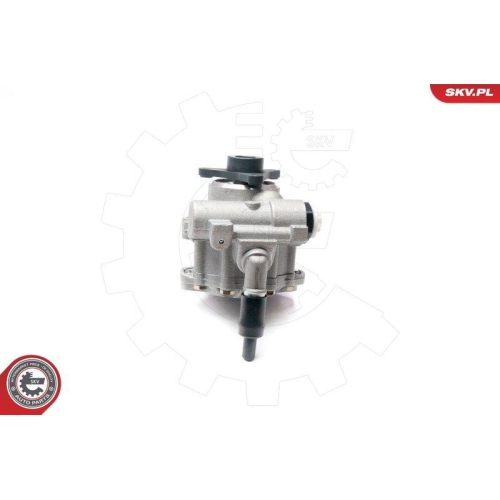 ESEN SKV Hydraulikpumpe, Lenkung